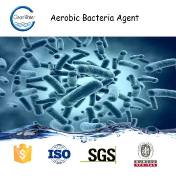 Tratamento de águas residuais de rio agente de bactérias aeróbicas